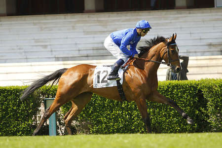 Actualités Hippiques